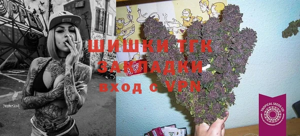 МДПВ Алексеевка