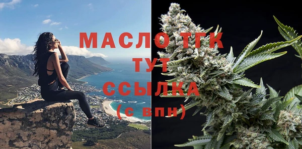 крисы Няндома