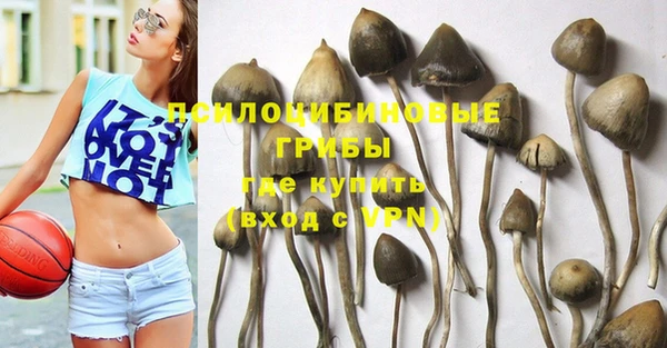 хмурый Нязепетровск